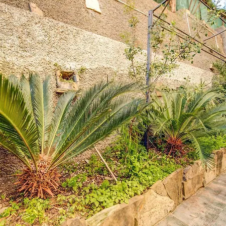Daire Delightful In With Garden *